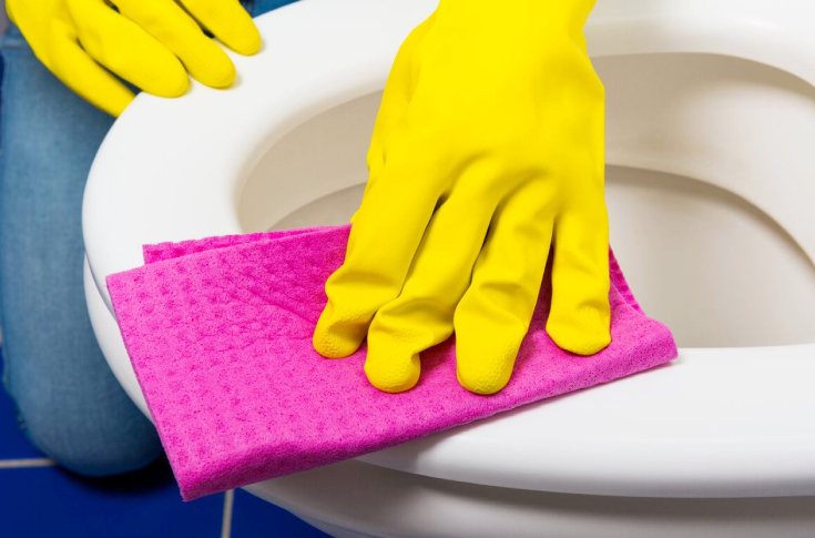 How and How Often to Clean a Toilet Seat