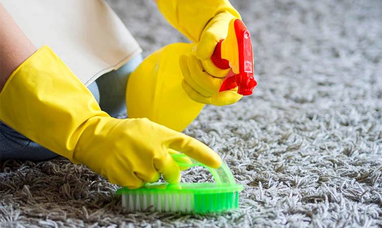 Hand hold brush and detergent and cleaning a carpet